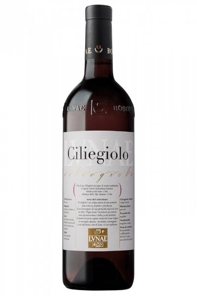 Ciliegiolo Lunae 2024