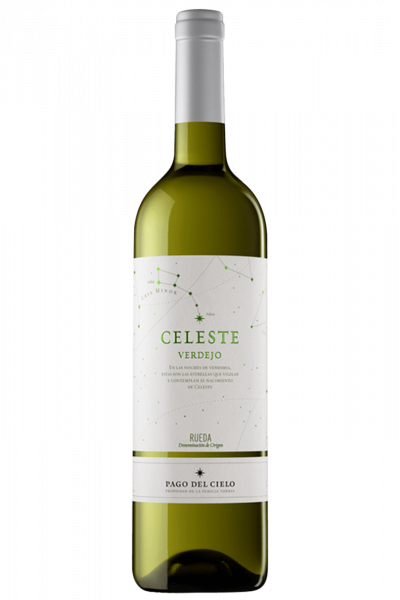 Celeste Verdejo Torres 2024