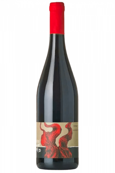 Barbera Superiore Oltretorrente 2020