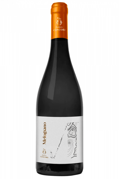Melograno Podere Còncori 2022