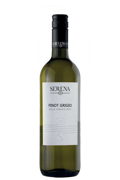 Pinot Grigio Delle Venezie Serena 1881 2024
