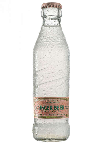 Ginger Beer La Biologica Tassoni 18cl