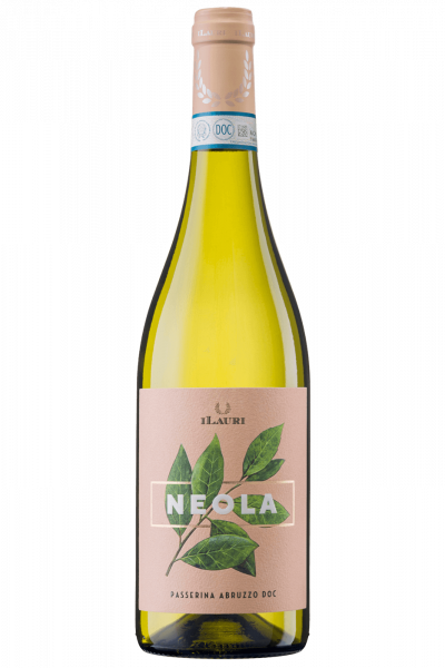 Passerina Neola iLauri 2024