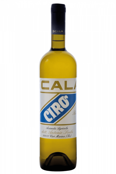 Cirò Bianco Scala 2024