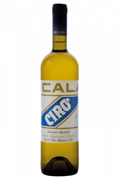 Cirò Bianco Scala 2024