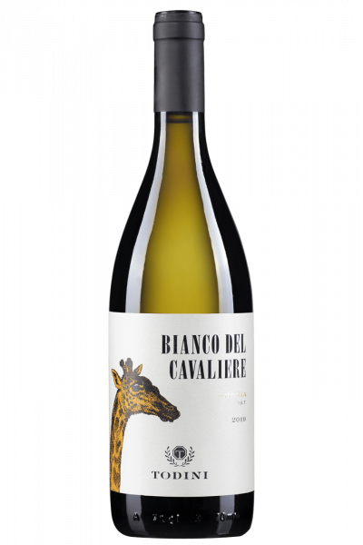 Bianco Del Cavaliere Todini 2023