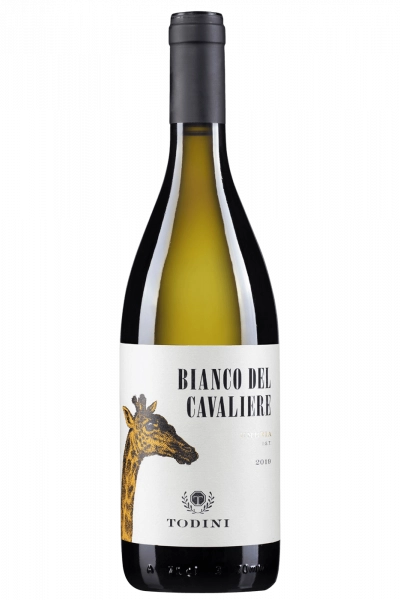 Bianco Del Cavaliere Todini 2023