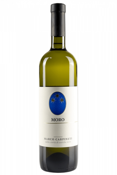 Moro Marco Carpineti 2023