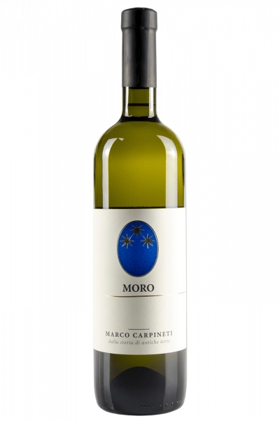 Moro Marco Carpineti 2023