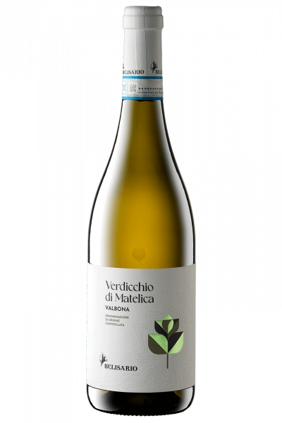 Verdicchio di Matelica Valbona Belisario 2024