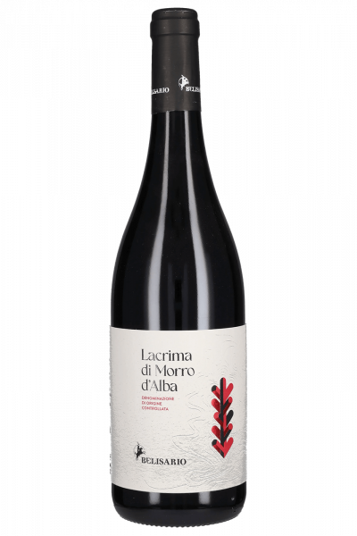 Lacrima Di Morro D'Alba Belisario 2024