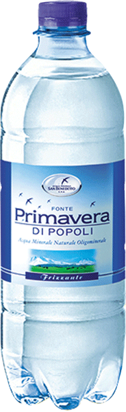 Acqua San Benedetto Frizzante 50cl 