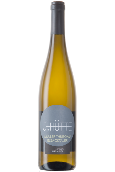 Müller Thurgau J.Hütte 2024