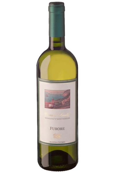 Furore Bianco Marisa Cuomo 2024