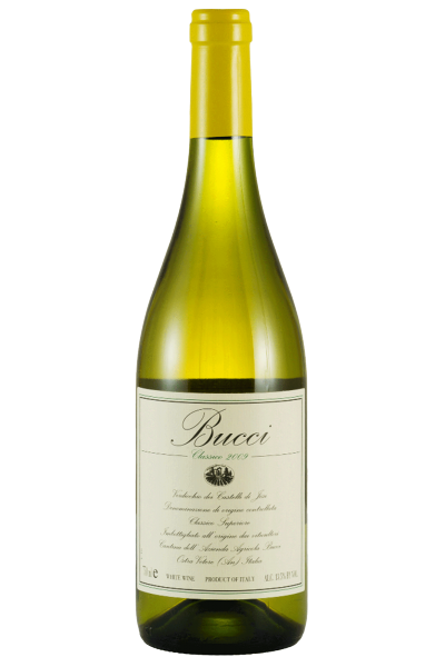 Verdicchio Dei Castelli Di Jesi Classico Superiore Villa Bucci 2023