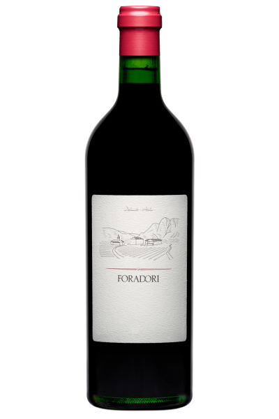 Teroldego Foradori 2023