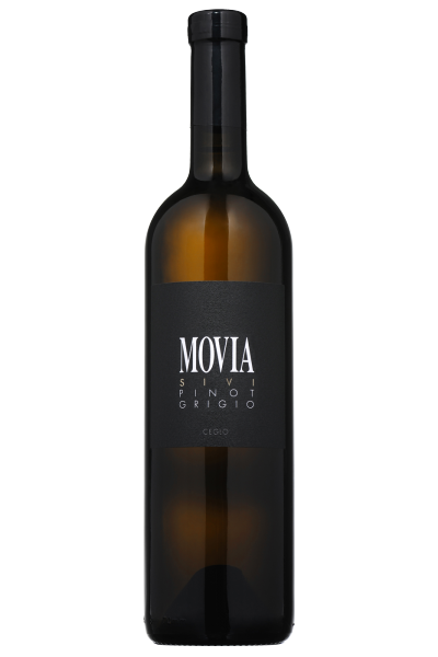Pinot Grigio Movia 2022