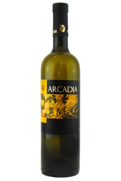 Arcadia Coletti Conti 2020