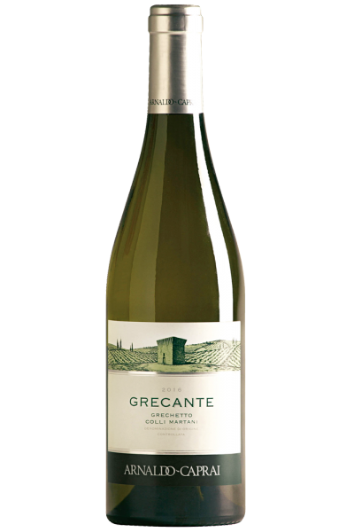 Grechetto Grecante Arnaldo Caprai 2024