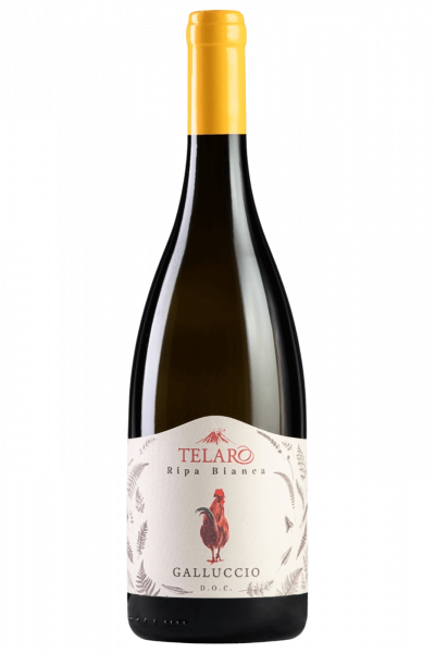 Ripa Bianca Galluccio Telaro 2023