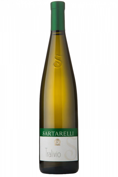 Verdicchio Dei Castelli Di Jesi Classico Superiore Tralivio Sartarelli 2023