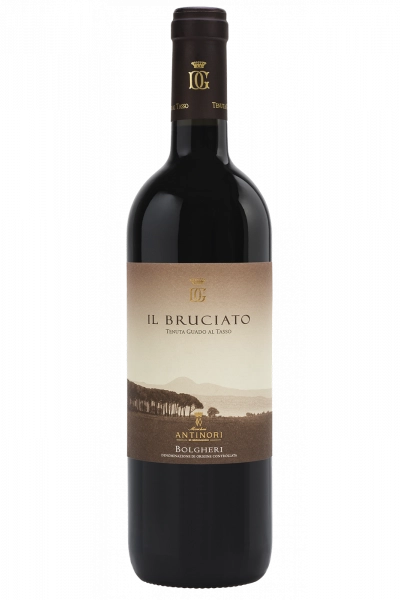 Il Bruciato Antinori 2024