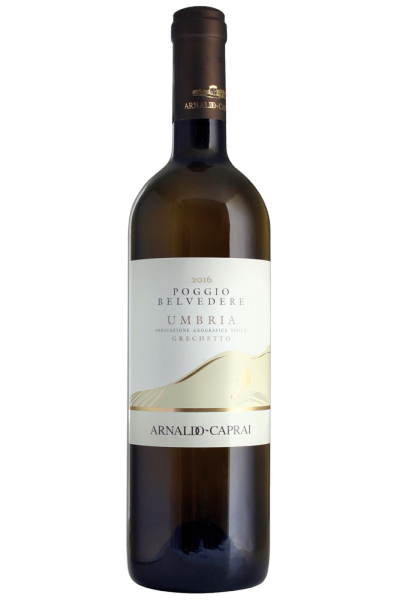 Grechetto Poggio Belvedere 2024 Arnaldo Caprai