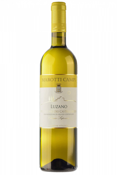 Verdicchio Dei Castelli Di Jesi Classico Superiore Luzano Marotti Campi 2024