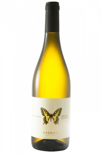 Pecorino Machaon Ausonia 2022