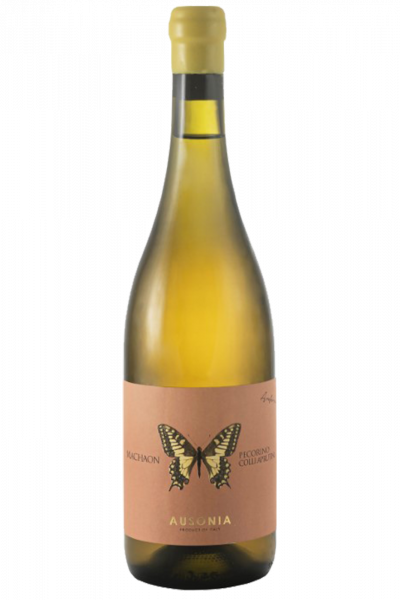 Pecorino Machaon Anfora Ausonia 2023