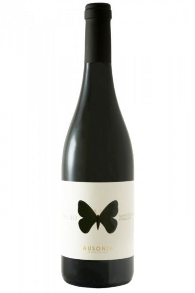 Montepulciano D'Abruzzo Apollo Ausonia 2021