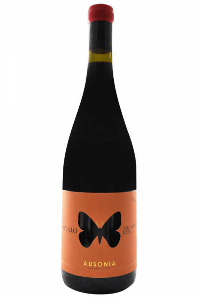 Colli Aprutini Rosso Apollo Ausonia 2021
