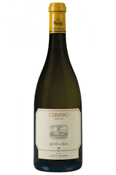 Cervaro della Sala Castello della Sala Antinori 2024