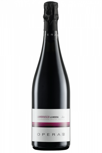 Lambrusco Secco Opera02
