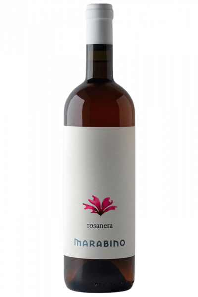 Rosa Nera Marabino 2024