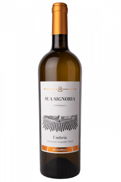 Trebbiano Sua Signoria Cantine Briziarelli 2023