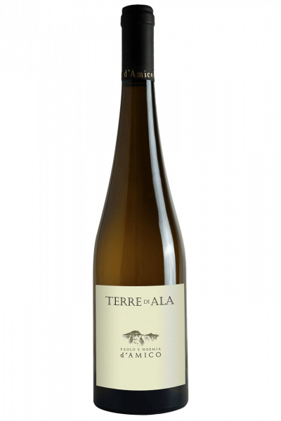 Terre Di Ala Bianco 2024 Paolo E Noemia d'Amico