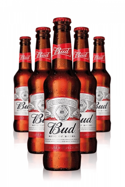 Budweiser Cassa da 24 bottiglie x 33cl