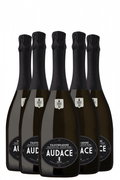 6 Bottiglie Valdobbiadene Prosecco Superiore DOCG Extra Dry Audace Millesimato 2023