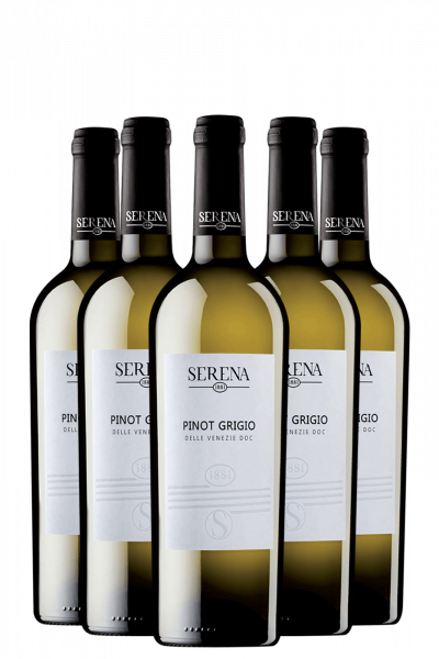 6 Bottiglie Pinot Grigio Delle Venezie DOC 2024 Serena 1881