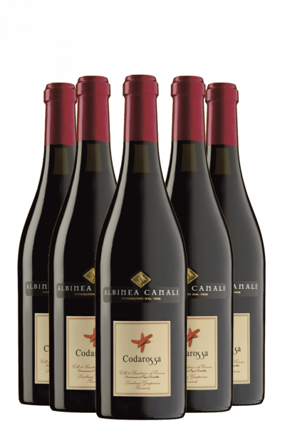 6 Bottiglie Lambrusco Amabile Codarossa Albinea Canali