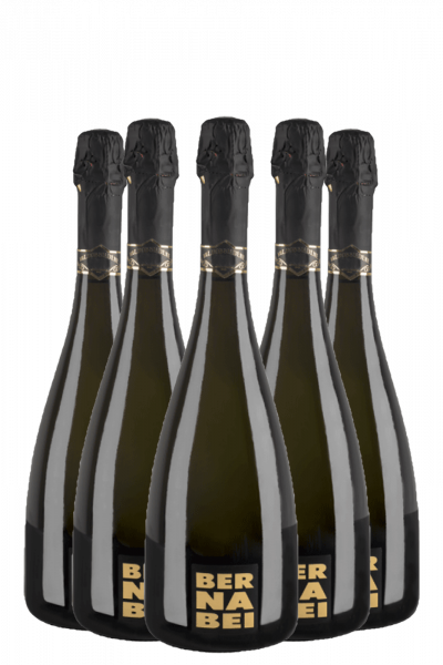 6 Bottiglie Valdobbiadene Prosecco DOCG Extra Dry 2024 Bernabei 