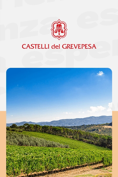 Castelli del Grevepesa: visita con degustazione