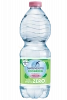Acqua San Benedetto Naturale Ecogreen 50cl