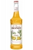 Sciroppo Monin Spicy Mango 70cl