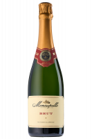 Metodo Classico Brut Monsupello