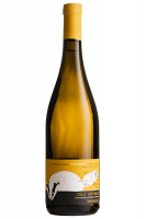 Derthona Oltretorrente 2023