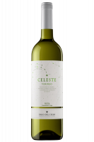 Celeste Verdejo Torres 2024