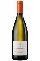 Chardonnay Costebianche Coppo 2022