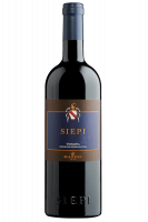 Siepi Castello Di Fonterutoli Mazzei 2021